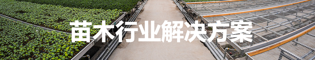 苗木行业(图1) 苗木 (1).png