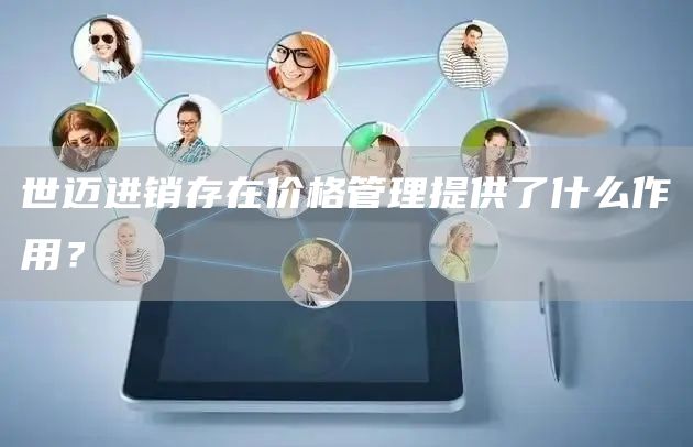 世迈进销存在价格管理提供了什么作用？(图1)